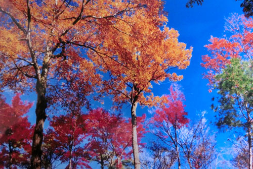 メインビジュアル