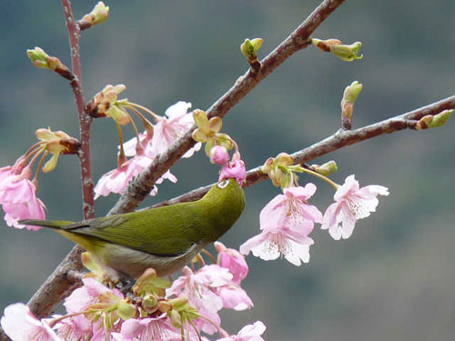 メインビジュアル