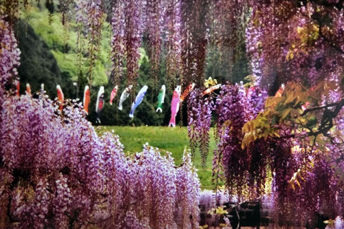 メインビジュアル